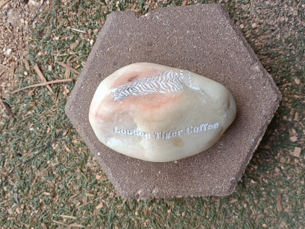 london tiger coffee - stone tiger and name