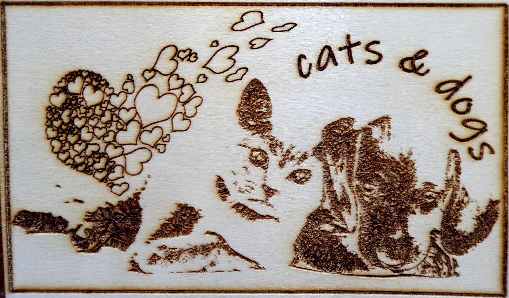 cats