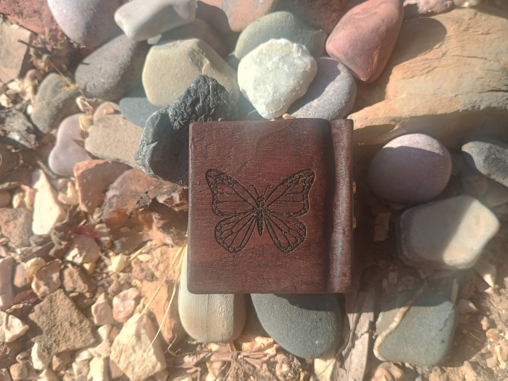 Book about a butterfly - back