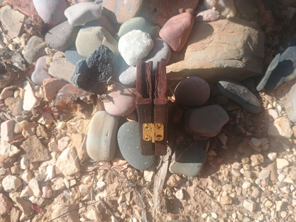 Book about a butterfly - back closed