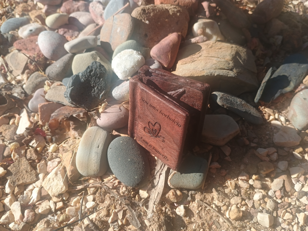 Book about a butterfly - front with pages