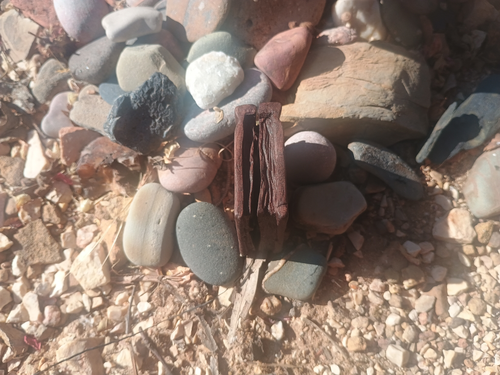 Book about a butterfly - pages