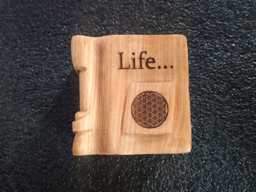 Book about life - front